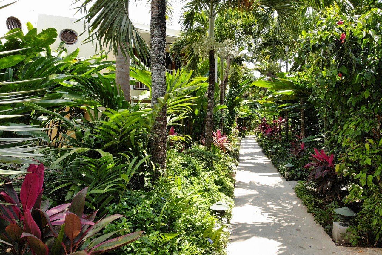 Negril Palms Hotell Exteriör bild