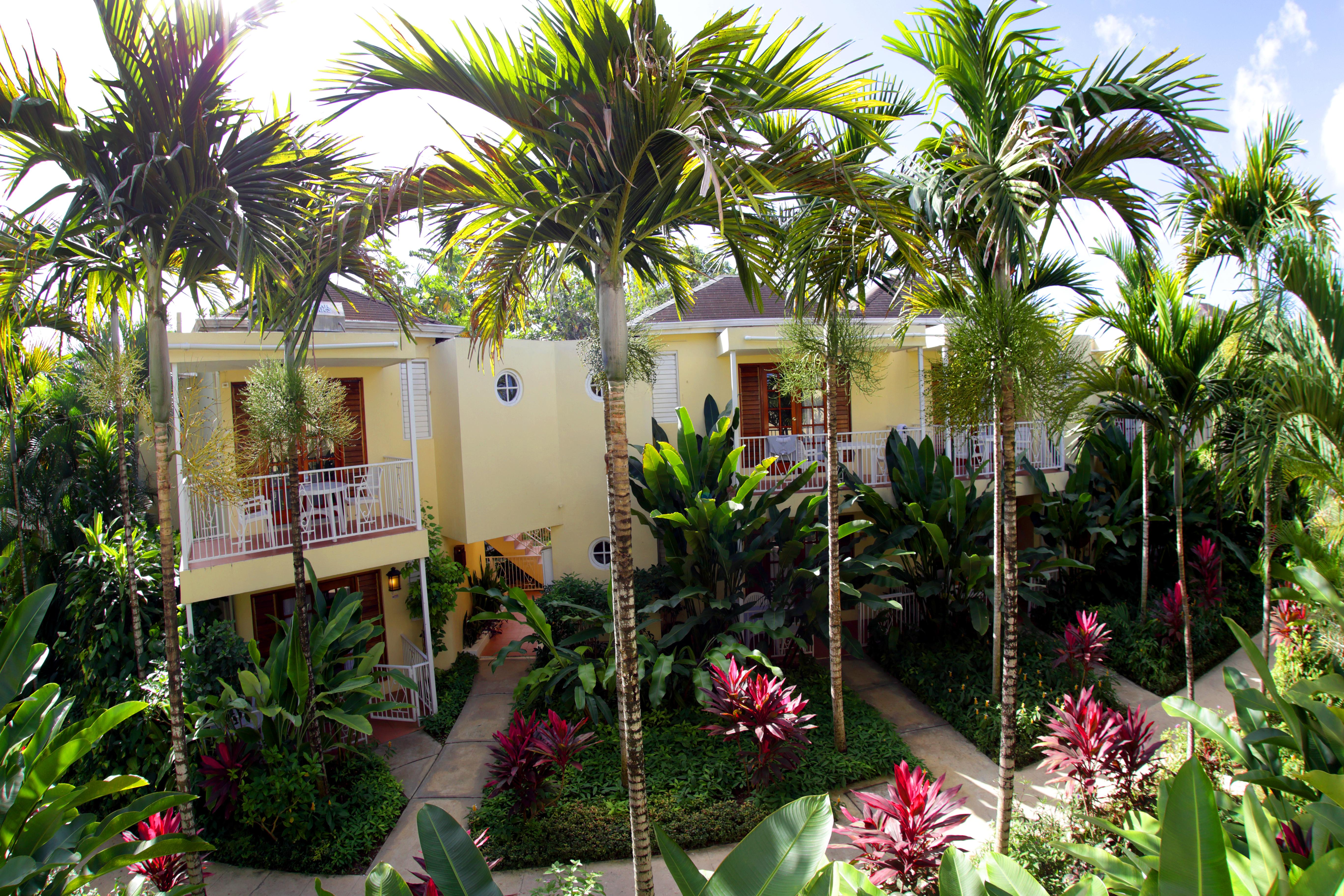 Negril Palms Hotell Exteriör bild
